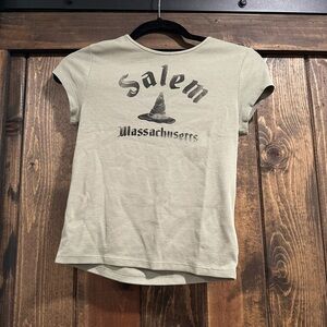 American eagle salem crop top